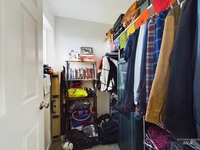 walk in closet with carpet flooring