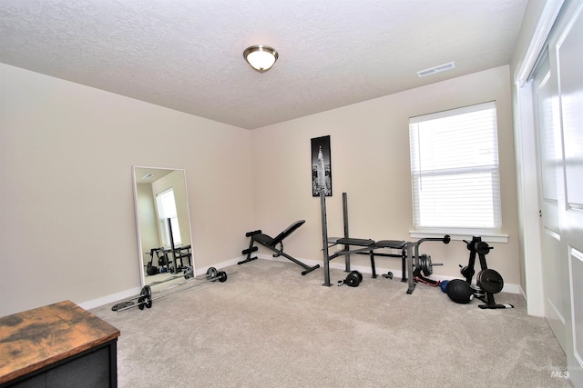 workout area featuring a wealth of natural light, carpet, and visible vents