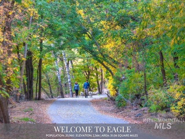 view of community with driveway and a forest view