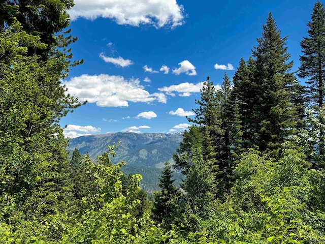 TBD20ACRES Hillman Basin Rd, New Meadows, ID 83654