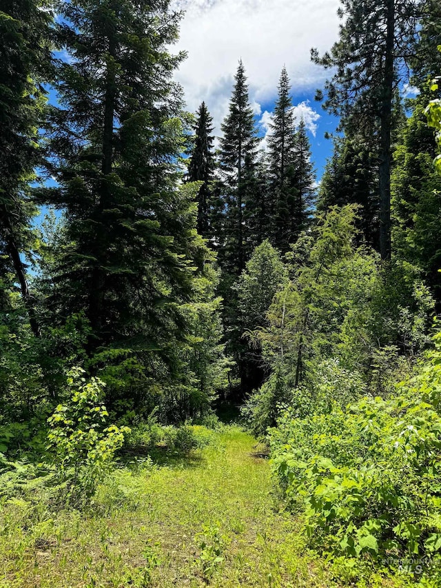 TBD20ACRES Hillman Basin Rd, New Meadows, ID 83654