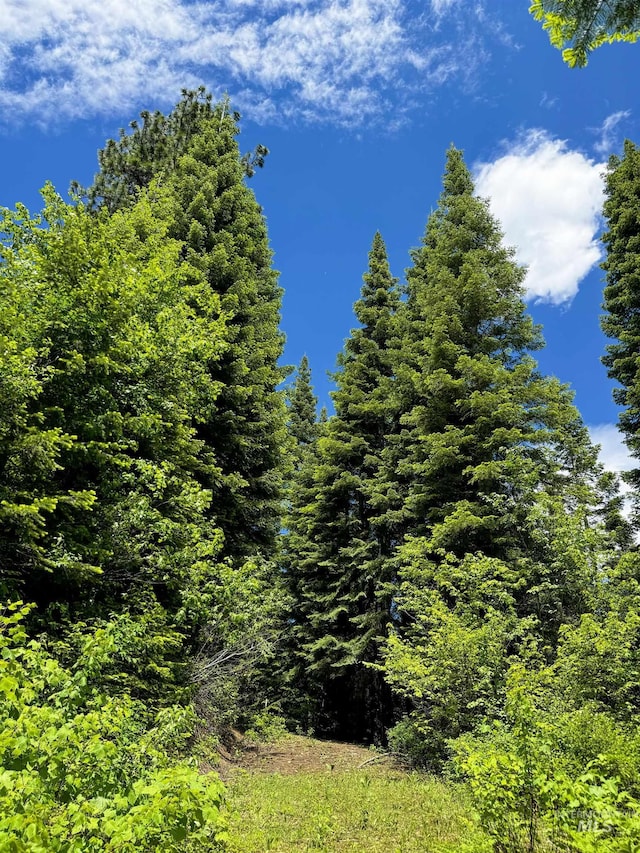 TBD20ACRES Hillman Basin Rd, New Meadows, ID 83654