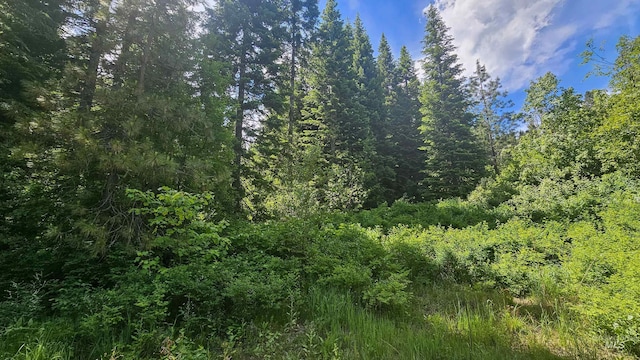 TBD20ACRES Hillman Basin Rd, New Meadows, ID 83654