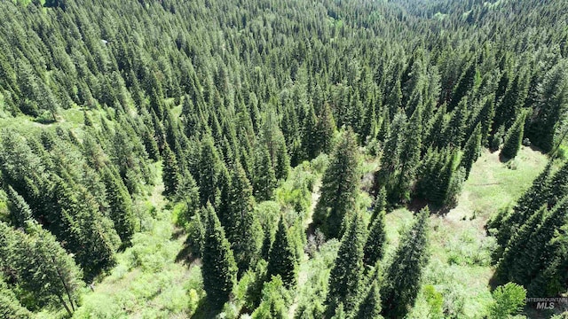 TBD20ACRES Hillman Basin Rd, New Meadows, ID 83654