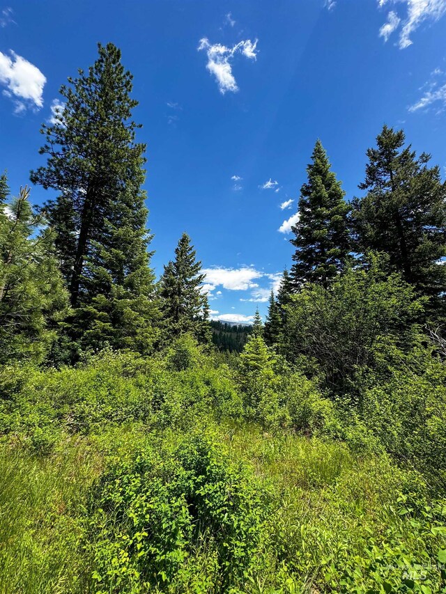 TBD20ACRES Hillman Basin Rd, New Meadows, ID 83654