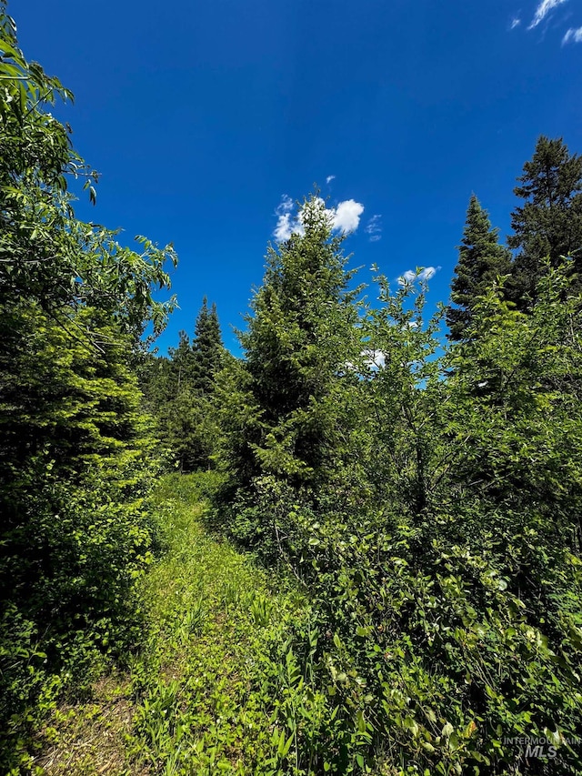 TBD20ACRES Hillman Basin Rd, New Meadows, ID 83654