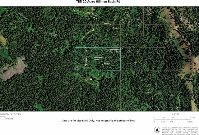 TBD20ACRES Hillman Basin Rd, New Meadows, ID 83654