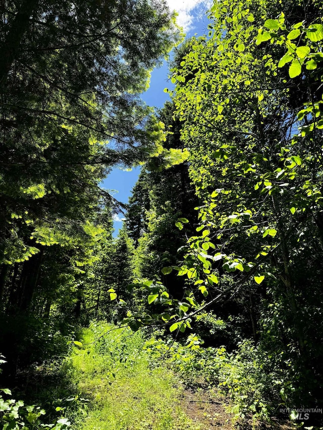 TBD20ACRES Hillman Basin Rd, New Meadows, ID 83654
