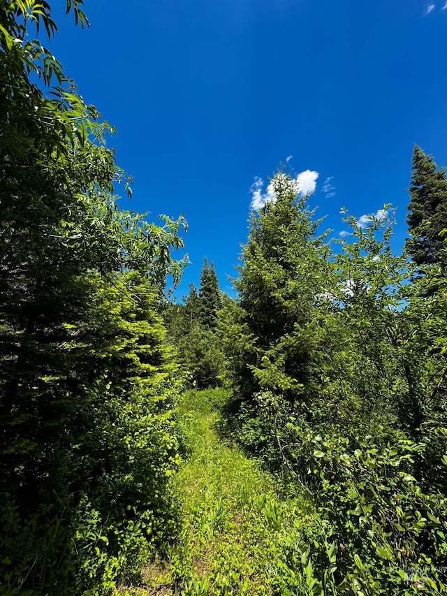 TBD20ACRES Hillman Basin Rd, New Meadows, ID 83654