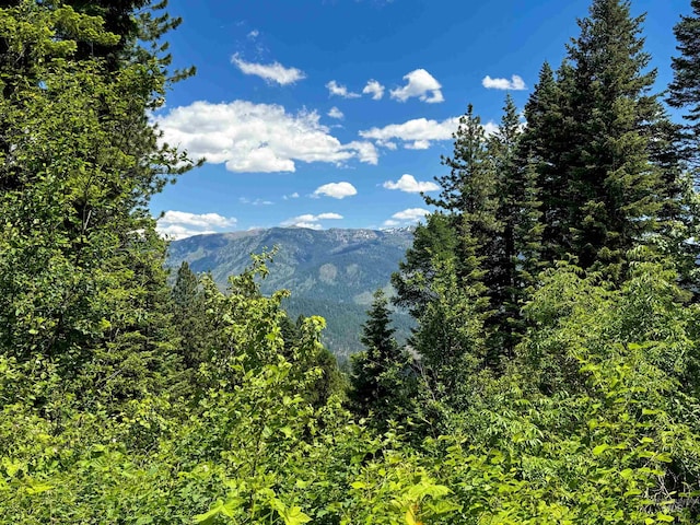 TBD20ACRES Hillman Basin Rd, New Meadows, ID 83654