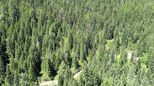TBD20ACRES Hillman Basin Rd, New Meadows, ID 83654