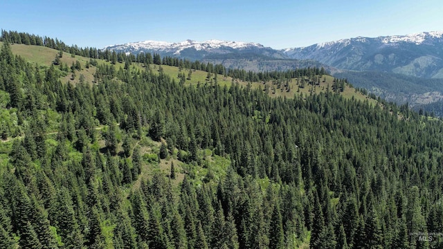 TBD20ACRES Hillman Basin Rd, New Meadows, ID 83654