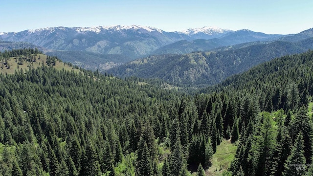 TBD20ACRES Hillman Basin Rd, New Meadows, ID 83654