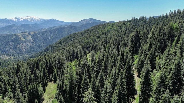 TBD20ACRES Hillman Basin Rd, New Meadows, ID 83654
