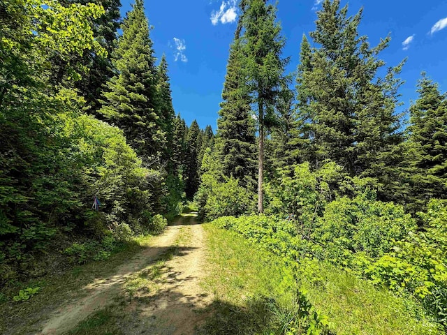 TBD20ACRES Hillman Basin Rd, New Meadows, ID 83654