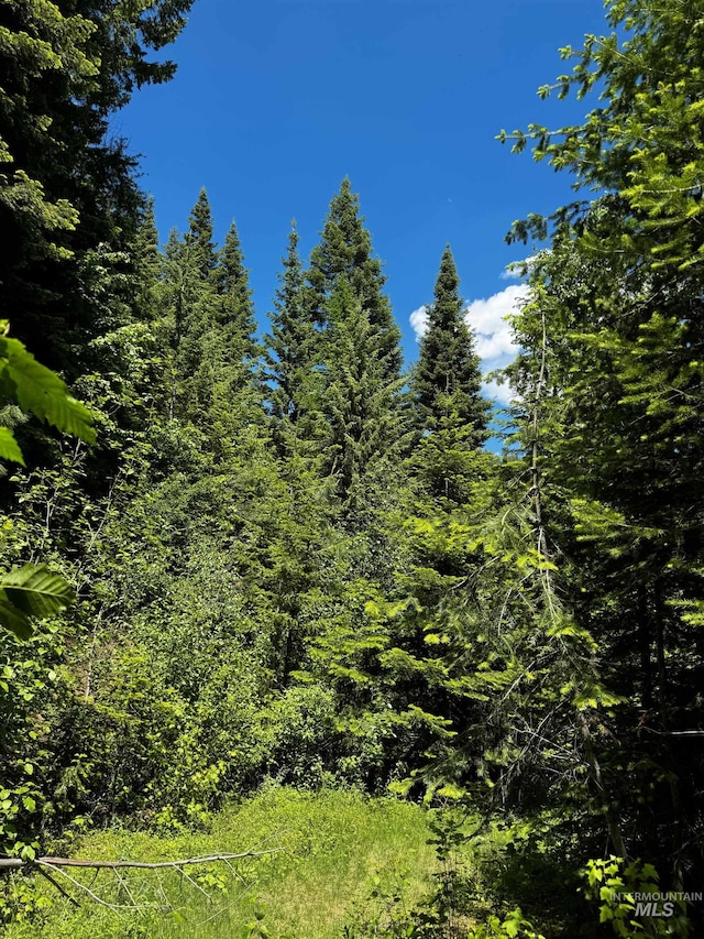 TBD20ACRES Hillman Basin Rd, New Meadows, ID 83654