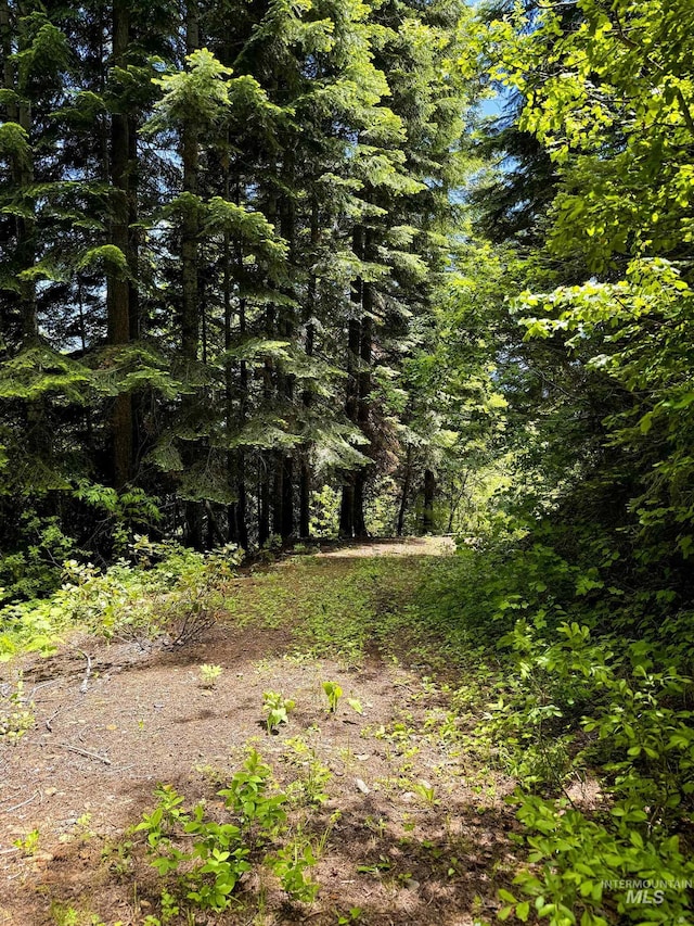 TBD20ACRES Hillman Basin Rd, New Meadows, ID 83654