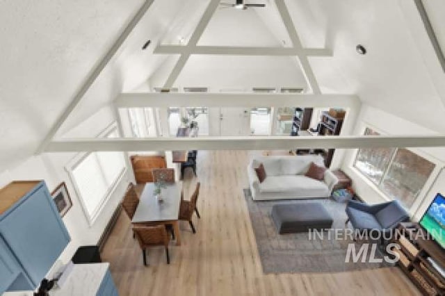 living room with hardwood / wood-style floors, beam ceiling, high vaulted ceiling, and ceiling fan