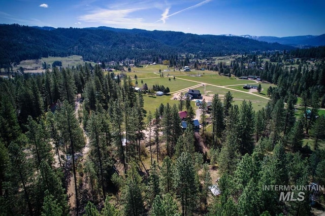 birds eye view of property featuring a forest view and a mountain view