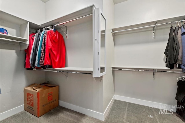 2165 N Luge Ave, Eagle, ID 83616 - spacious closet with carpet floors