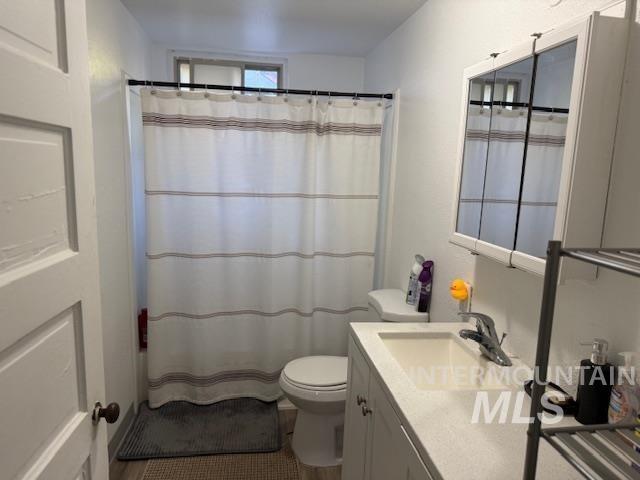 bathroom with vanity, toilet, and walk in shower