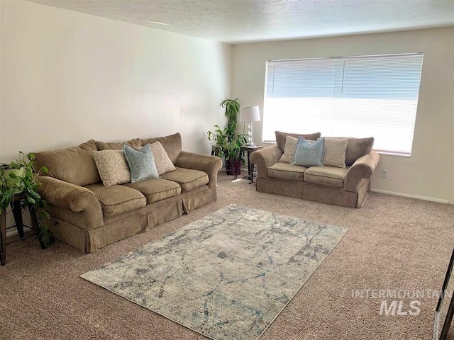 carpeted living room with a textured ceiling