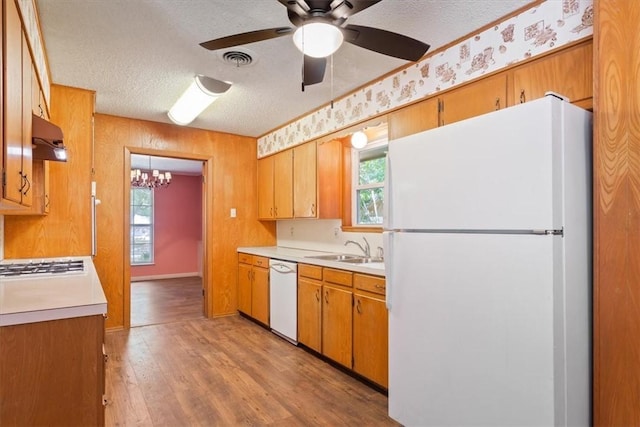 kitchen with a wealth of natural light, sink, light hardwood / wood-style floors, and white appliances