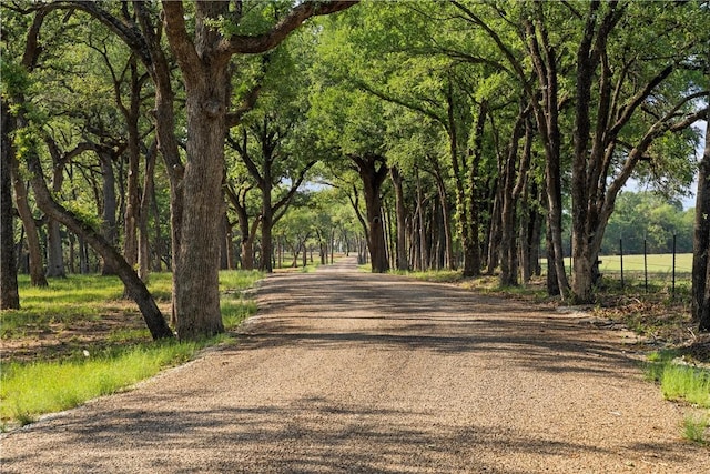 Listing photo 3 for LOT18 Davis Dr, Aquilla TX 76622