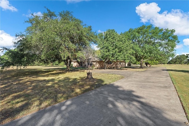 view of community with a yard