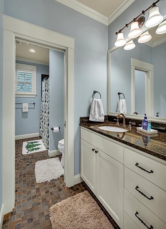 bathroom with crown molding, vanity, a shower with shower curtain, and toilet