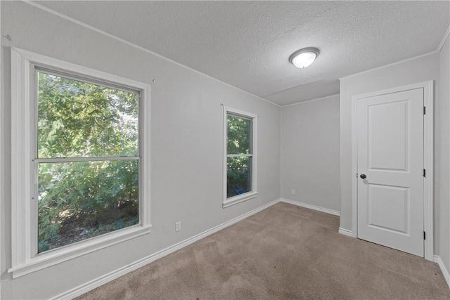 carpeted empty room featuring a textured ceiling