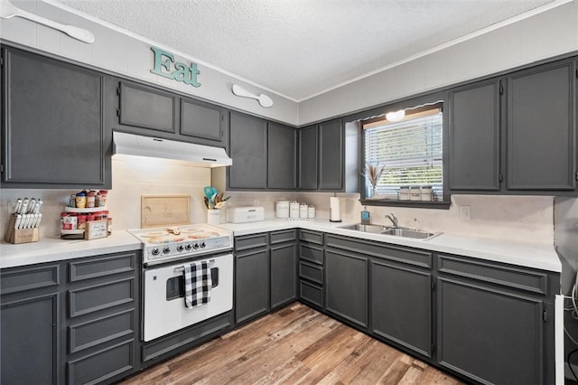 kitchen featuring sink, white range with electric stovetop, light hardwood / wood-style floors, a textured ceiling, and ornamental molding