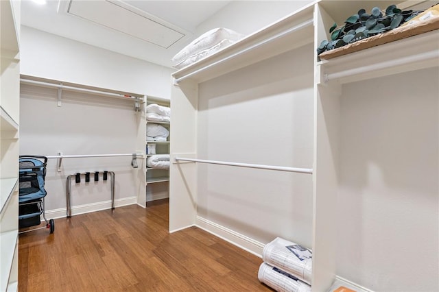 spacious closet with hardwood / wood-style floors