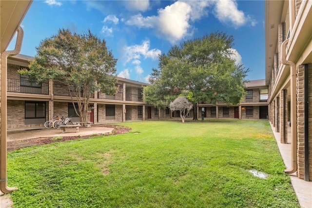 view of yard featuring a patio area