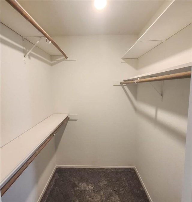 spacious closet with dark colored carpet