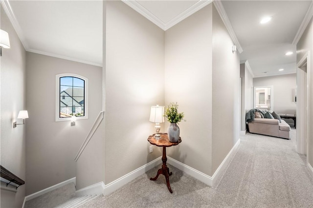 interior space featuring ornamental molding and carpet flooring