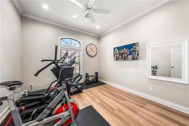 workout area with ceiling fan, crown molding, and hardwood / wood-style floors