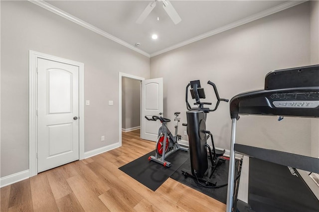 workout area featuring ceiling fan, crown molding, and light hardwood / wood-style flooring