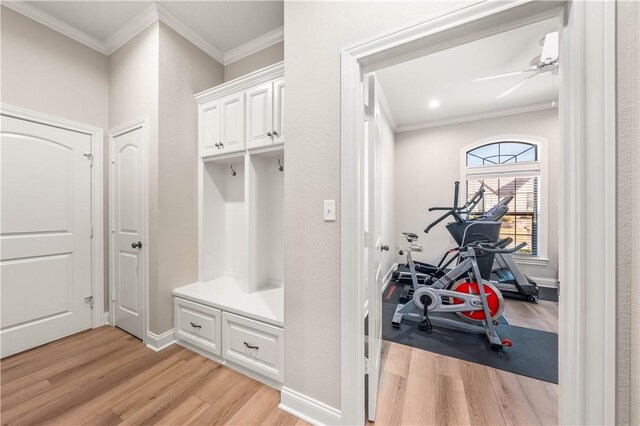 mudroom with ceiling fan, ornamental molding, and light hardwood / wood-style floors