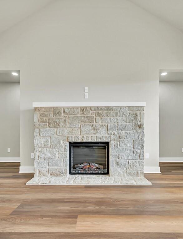 details with a fireplace and hardwood / wood-style flooring