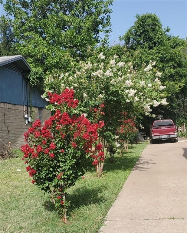 view of yard