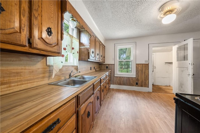 kitchen with wooden walls, sink, a textured ceiling, and light wood-type flooring