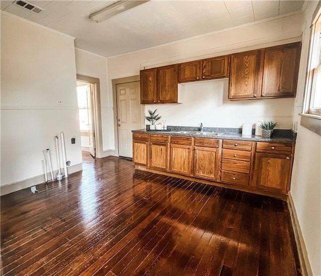 kitchen with crown molding, dark hardwood / wood-style flooring, and sink