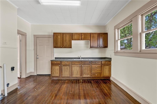 kitchen with crown molding, dark hardwood / wood-style flooring, and sink