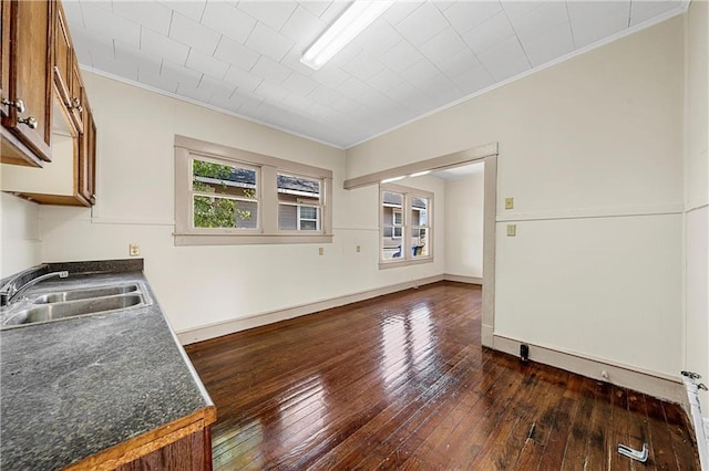 interior space with dark hardwood / wood-style floors, crown molding, and sink