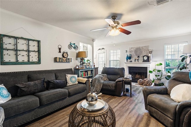 living room featuring hardwood / wood-style floors, a textured ceiling, ceiling fan, and crown molding