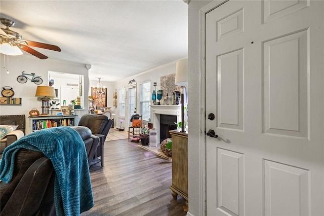 living room featuring crown molding, wood-type flooring, and ceiling fan with notable chandelier