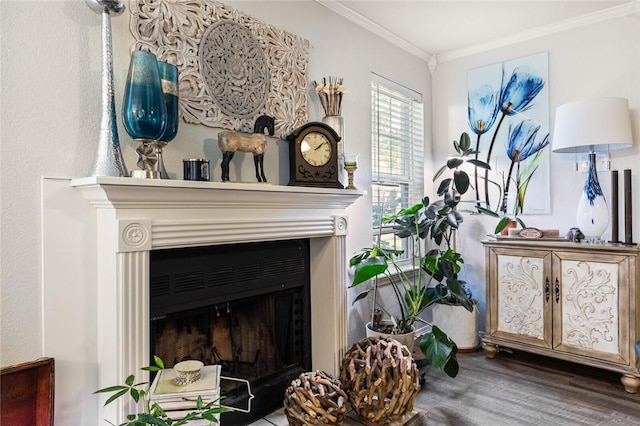 interior details featuring wood-type flooring and crown molding