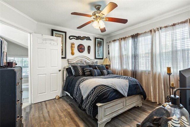 bedroom with dark wood-type flooring, ceiling fan, and crown molding