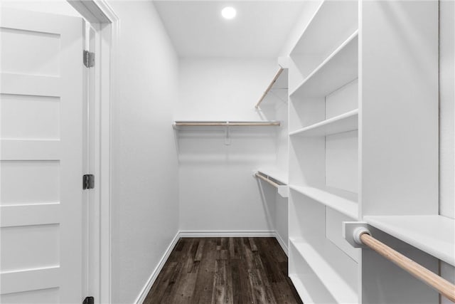 walk in closet with dark wood-type flooring